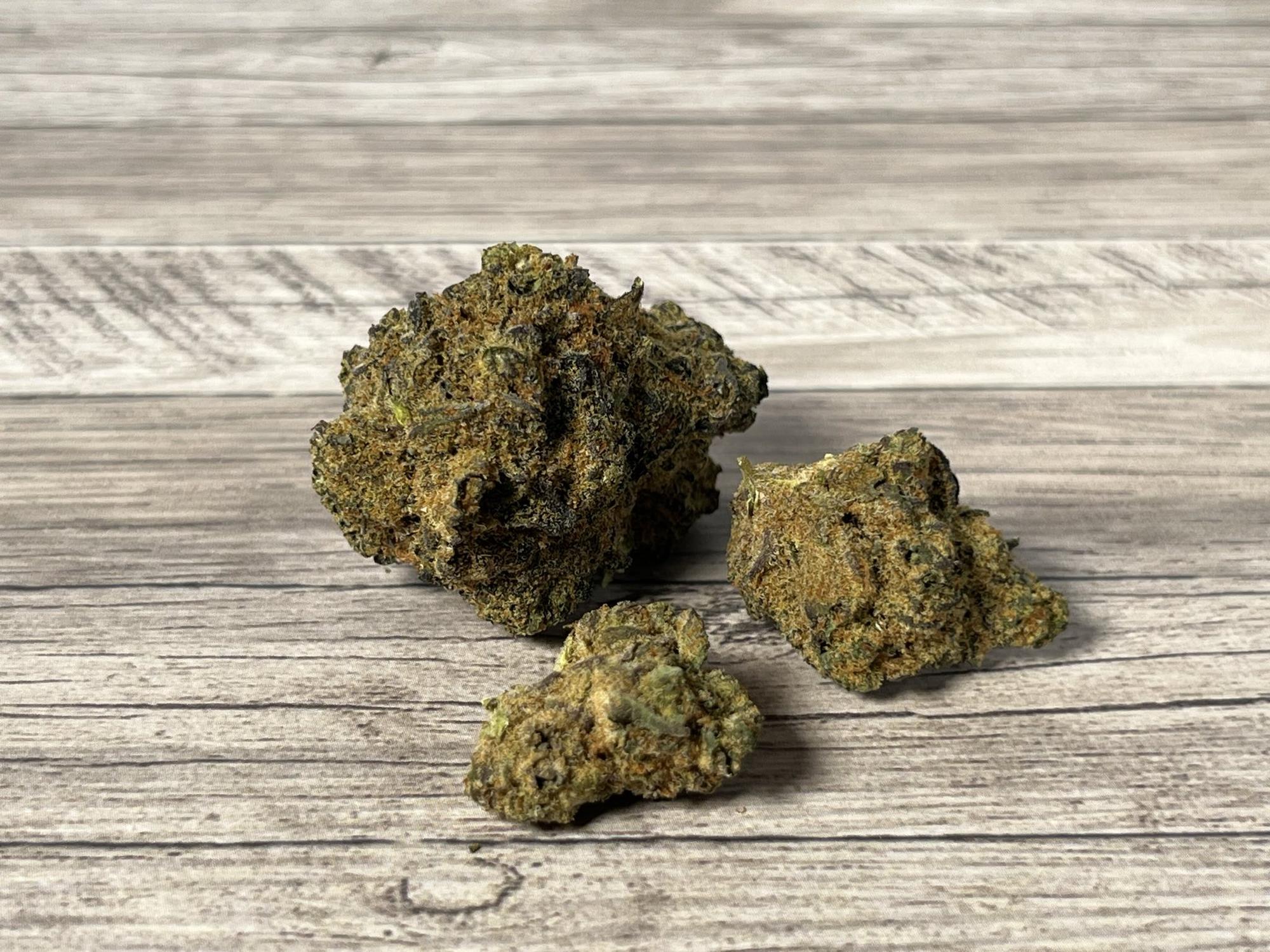 Growing Medical Cannabis in Florida: What You Need to Know